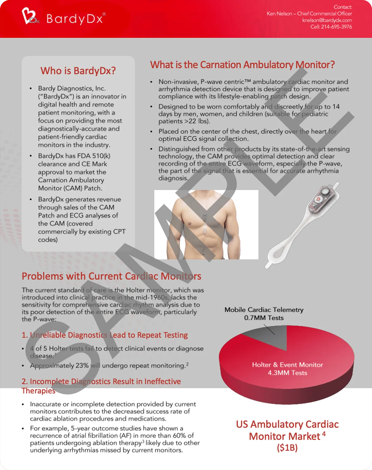 Executive summary sample