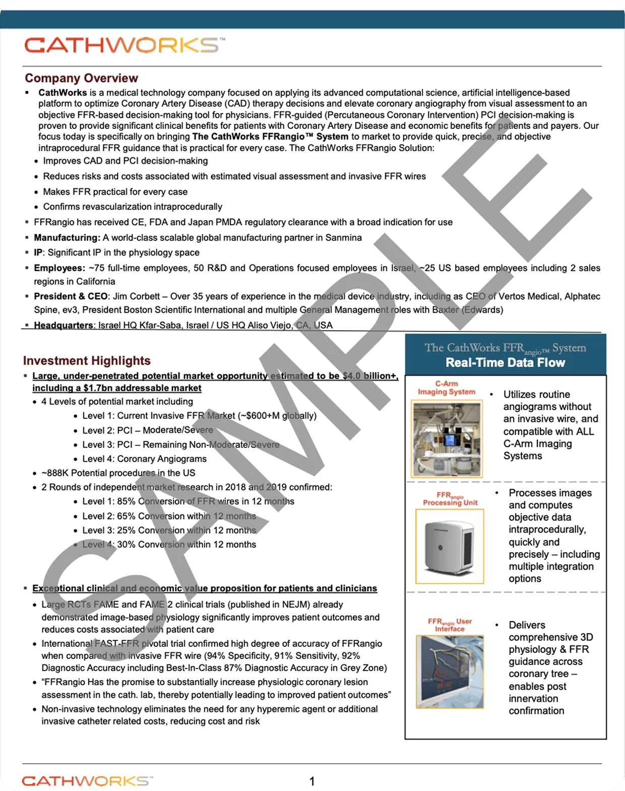 Executive summary sample